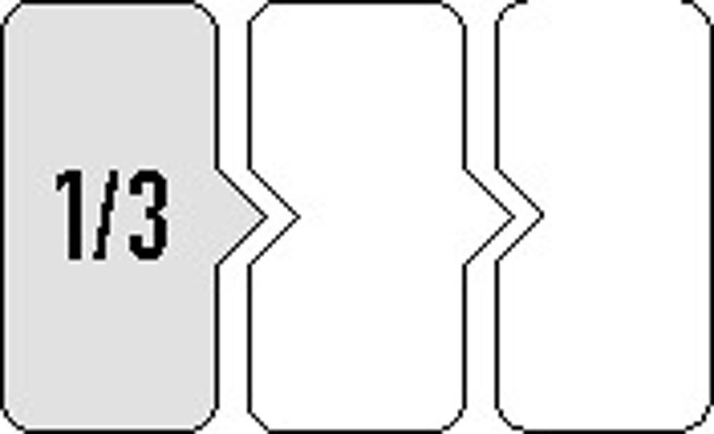 Werkzeugmodul 6-teilig 1/3-Modul Schlitz / PH