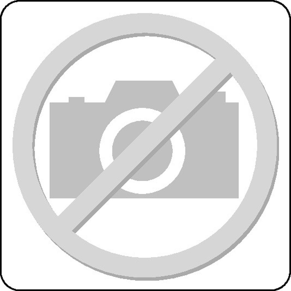 Kreissägeblatt Außen-Ø 250 mm Zähnezahl 60 WZ/N Bohrung 30 mm Schnittbreite 3,2 mm HM