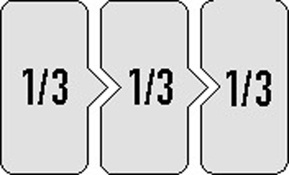 Werkzeugmodul 44-teilig 3/3-Modul Werkzeugsatz