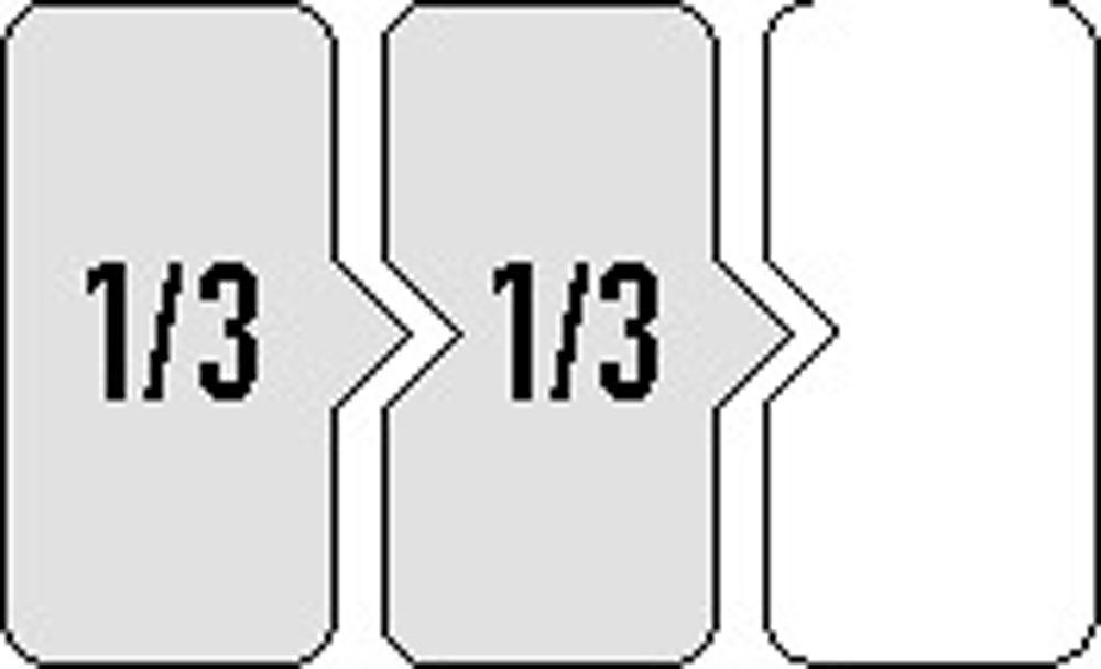 Werkzeugmodul 7-teilig 2/3-Modul Feilen, Drahtbürsten