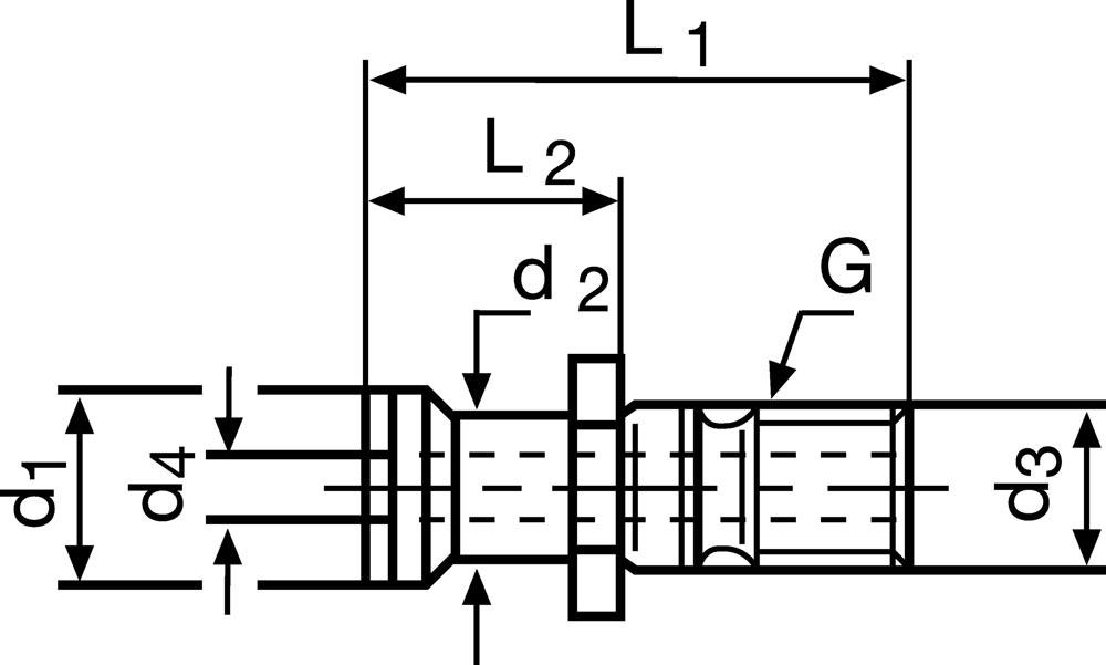 Anzugsbolzen ISO 7388 / IIB SK50 mit Bohrung